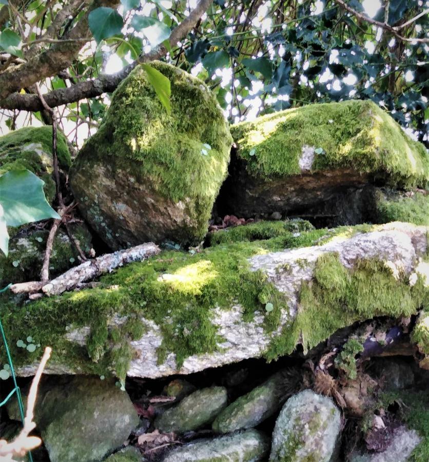 Vila La Carri'Air Pont-Aven Exteriér fotografie